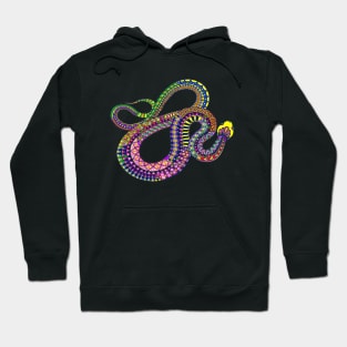 Southwest Rattler Hoodie